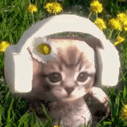 neesh Image
